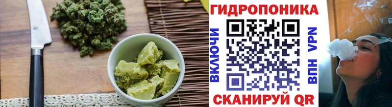 mega вход  Электрогорск  Cannafood конопля 