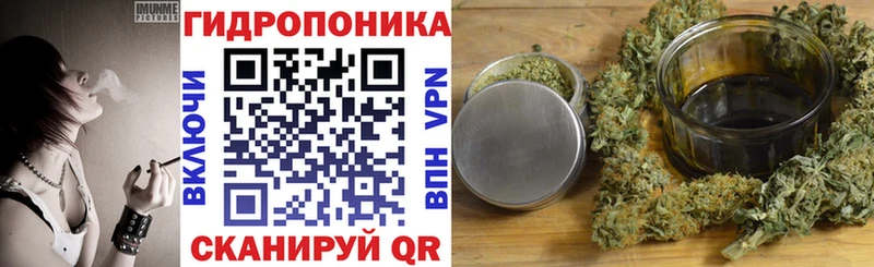 где продают   Электрогорск  Шишки марихуана семена 